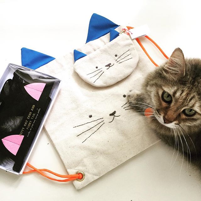 All things cat! Thank you Meri Meri! #merimeriparty #partyware #dressup #cat #cute #kitty #accessories #bags #stationery #purse #adorable #fashion #kids #fun #meow