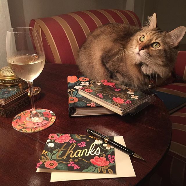 Trying to finish my overdue holiday thank you cards - helped by @riflepaperco but not the cat!