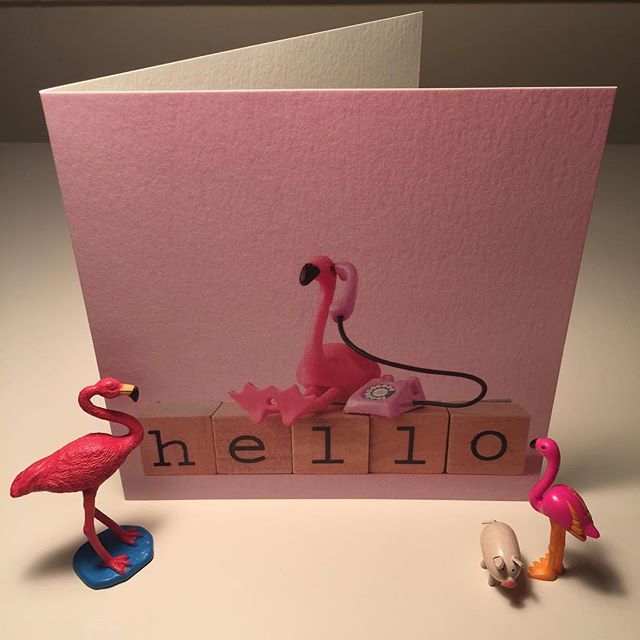 Huge thanks to @lagomdesign for bringing us a range of Dietske Klepper's wonderfully wacky "a flamingo a day" Instagram pics. Available for order now!#lagomdesign #cards #greetingcards #stationery #stationeryaddict #hello #happy #vintage