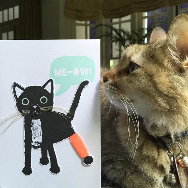 Feeling a little het up after a trip to the vet - don't worry, no broken leg, just annual vaccination and check up - this card from @merimeriparty says it all!#merimeri #merimeriparty #greetingcards #stationery #stationeryaddict #cat #cute #vet #cards #catsofinstagram #thatsdarling