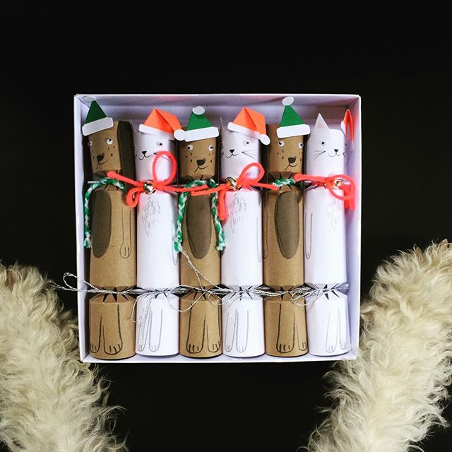 Our furry friends need to have crackers too! Don't forget South East Asian retailer orders for Meri Meri's fantastic Halloween and Christmas ranges need to be in by Friday 3rd June!#merimeri #christmas #merrychristmas #crackers #dogs #dogsofinstagram #cute #christmasparty #thatsdarling
