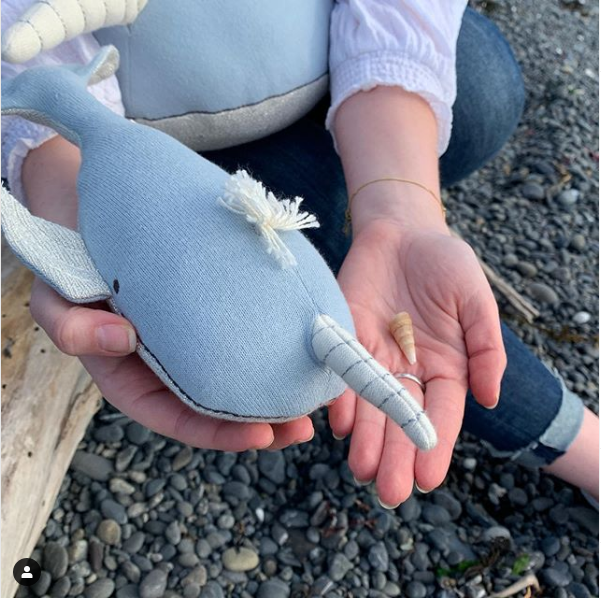 Milo is the softest junior pirate ever. And he’s found his first piece of treasure! @merimeriparty #merimeri #merimeriparty #softtoys #plushie #stuffedanimal #gooddesign #pirate #picnic #beachpicnic #partyideas #picnicideas #shells #narwhal