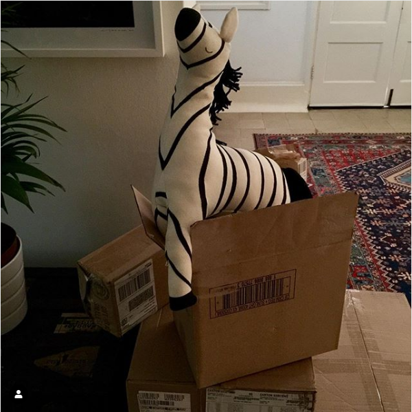 I’m having a HUGE revamp of my showroom to make way for STUNNING new samples from Meri Meri and Rifle Paper. This little fellow is getting ahead of himself and longing to take pride of place. He looks like trouble!! #merimeri #zebra #giftsforchildren