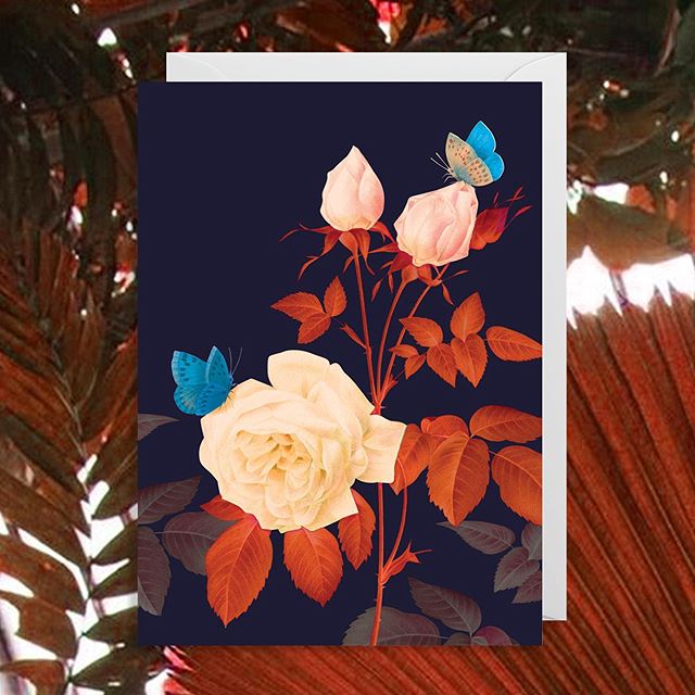 If there was a card range like this done for the Singapore Botanical Gardens, what plants would you like to see on it? 🇸🇬@lagomdesign #gooddesign #singaporeshopping #greetingcards #flowers #aesthetic #botanicgardens #roses