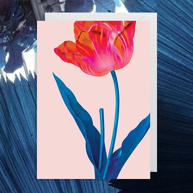 Each @lagomdesign card is printed in small batches at the sustainability-focused James Cropper Mill in the Lake District, so you can enjoy your pictures of nature while ensuring it is protected  #gooddesign #lagom #singaporeshopping #sustainabledesign #tulips #archive #flowers #print #archivalprint #greetingcards